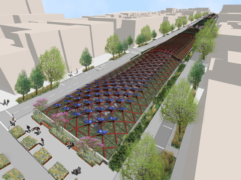 Starr-Whitehouse-BQE-Green-Canopy